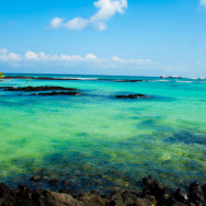7 Jours- 988$: une semaine aux Galapagos sans se ruiner