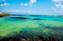 7 Jours- 988$: une semaine aux Galapagos sans se ruiner